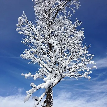 Schuller Appartamento *