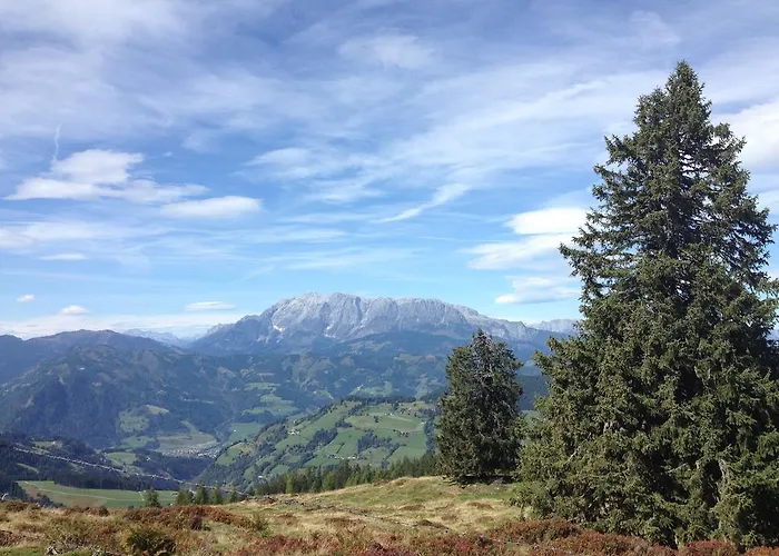 Schuller Apartment Wagrain